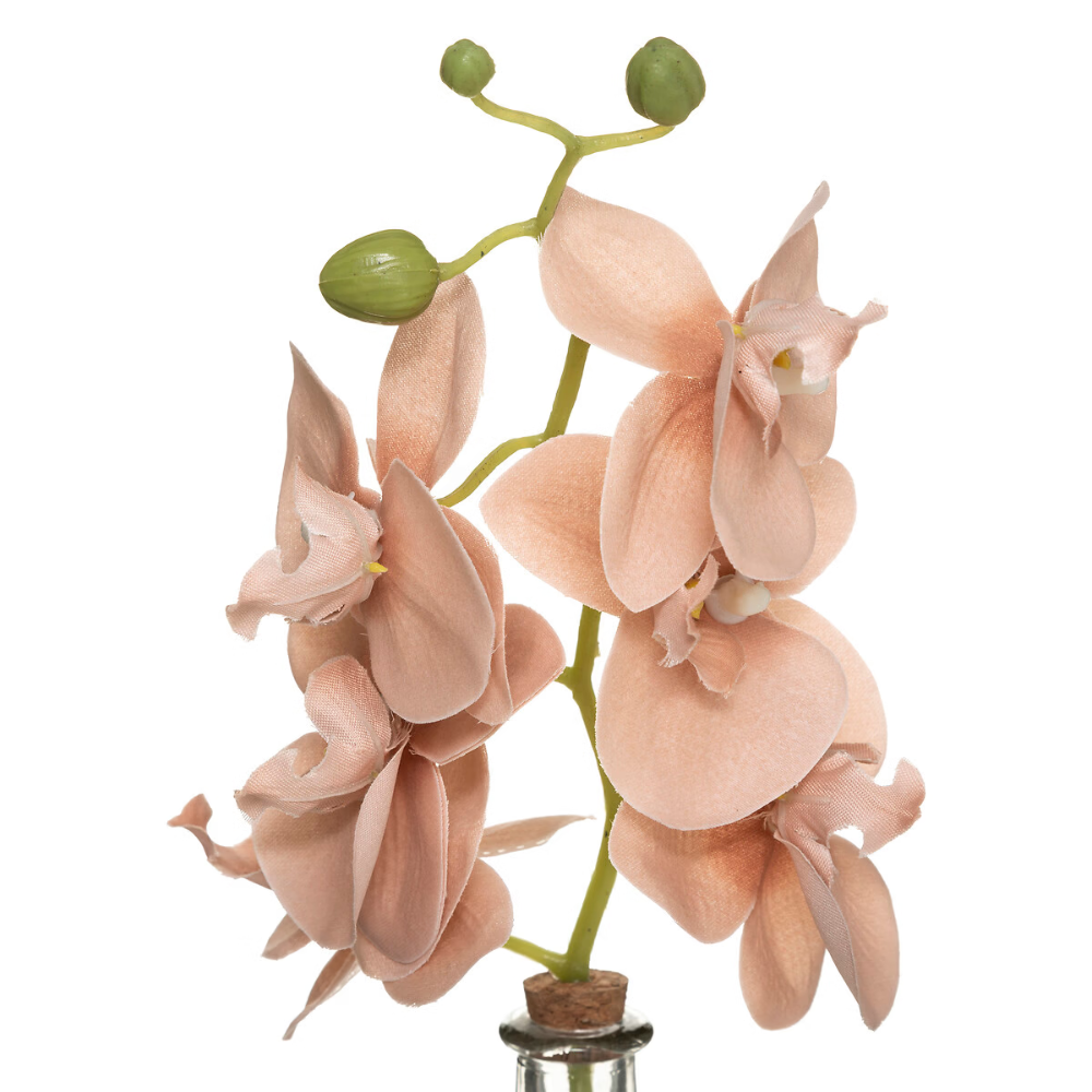 BÌNH HOA TRANG TRÍ 179207