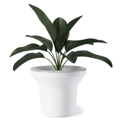 CHẬU CÂY ĐÈN LED UMBRA MELAMINE 22X21.6X21CM TRẮNG