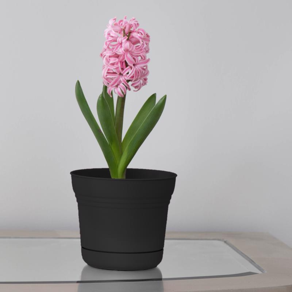 BLOEM CHẬU CÂY NHỰA RESIN MÀU ĐEN 11.4X12.7CM