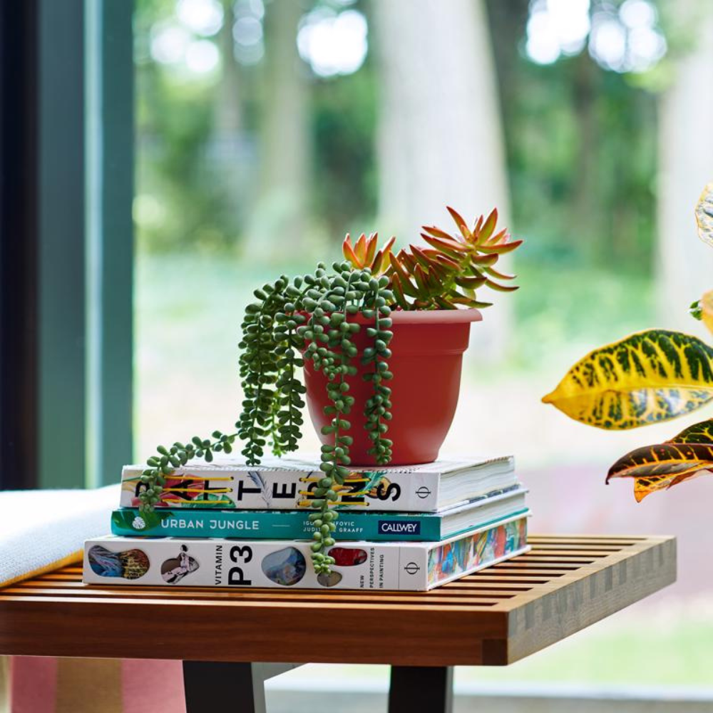 BLOEM CHẬU TRỒNG CÂY 13X16.5CM BẰNG NHỰA