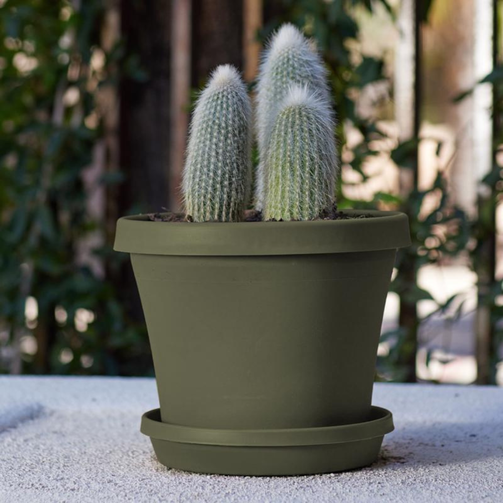 BLOEM CHẬU CÂY NHỰA RESIN MÀU XANH LÁ 17.8X20.3CM