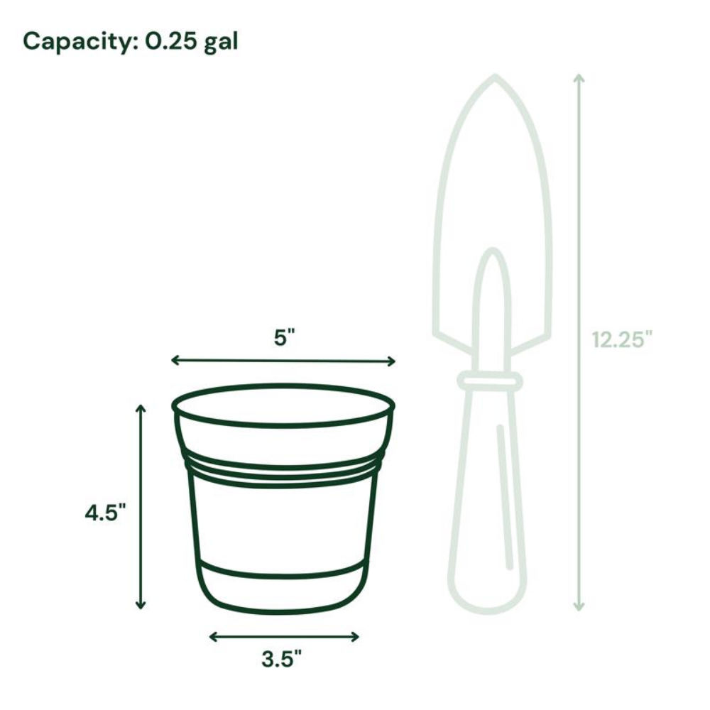 BLOEM CHẬU CÂY NHỰA RESIN XANH NGỌC 11.4X12.7CM