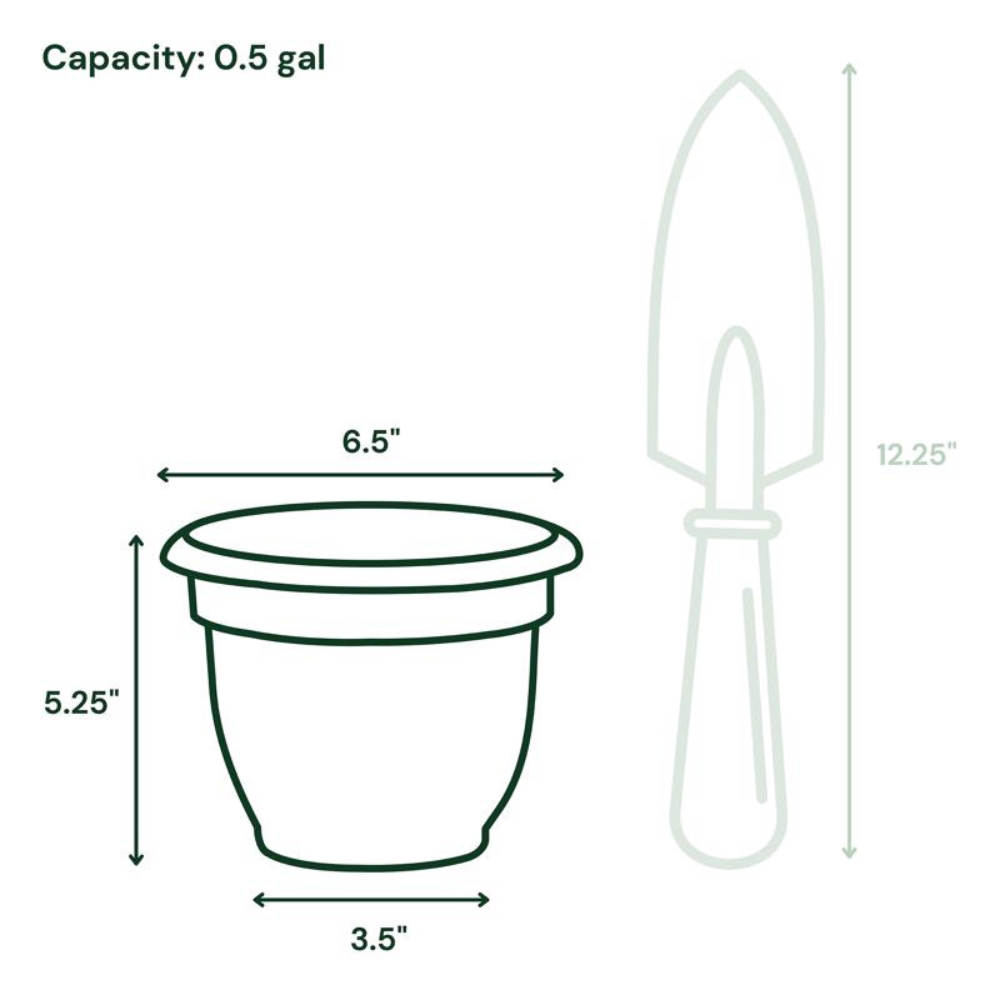 CHẬU TRỒNG CÂY 17X20.3CM BLOEM BẰNG NHỰA