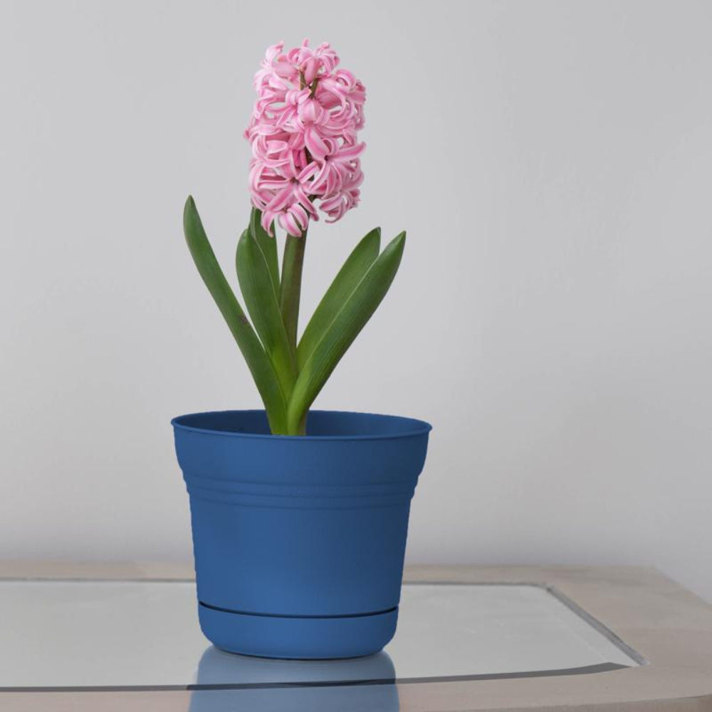 BLOEM CHẬU TRỒNG CÂY 13CM BẰNG NHỰA SP0533