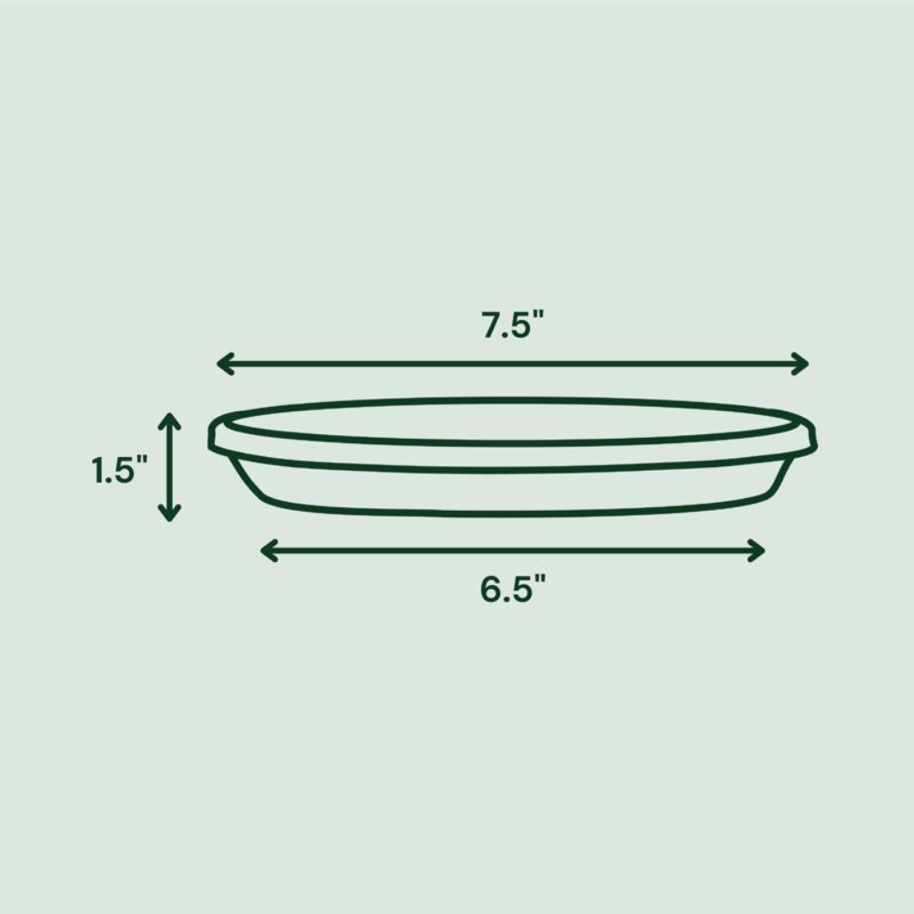 BLOEM ĐĨA LÓT ĐÁY CHẬU NHỰA RESIN XANH LÁ 3.81CM
