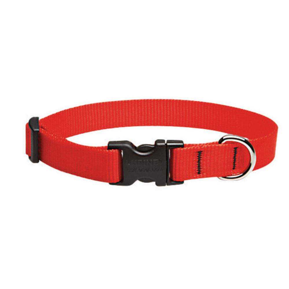 VÒNG CỔ CHÓ ĐIỀU CHỈNH NYLON LUPINE PET ĐỎ 23CM