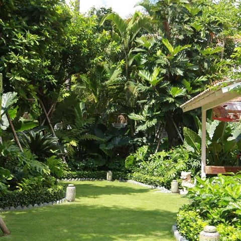 THI CÔNG SÂN VƯỜN BIỆT THỰ 2000M2 - QUẬN 2