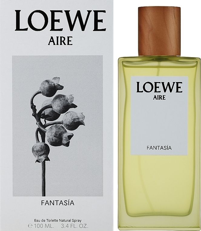  Loewe Aire Fantasia 