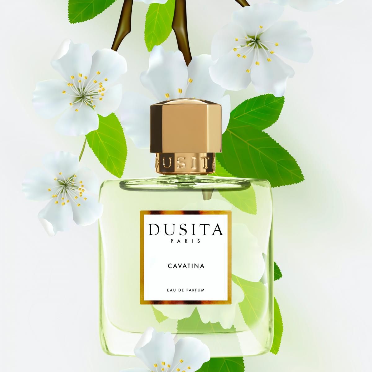 Dusita Cavatina