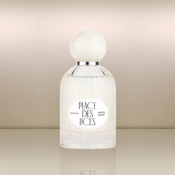  Place des Lices White Daisy 