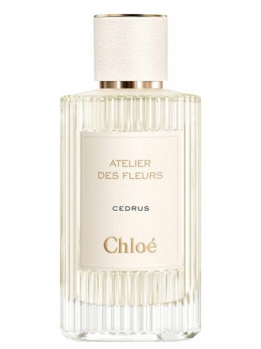  Cedrus Chloé 