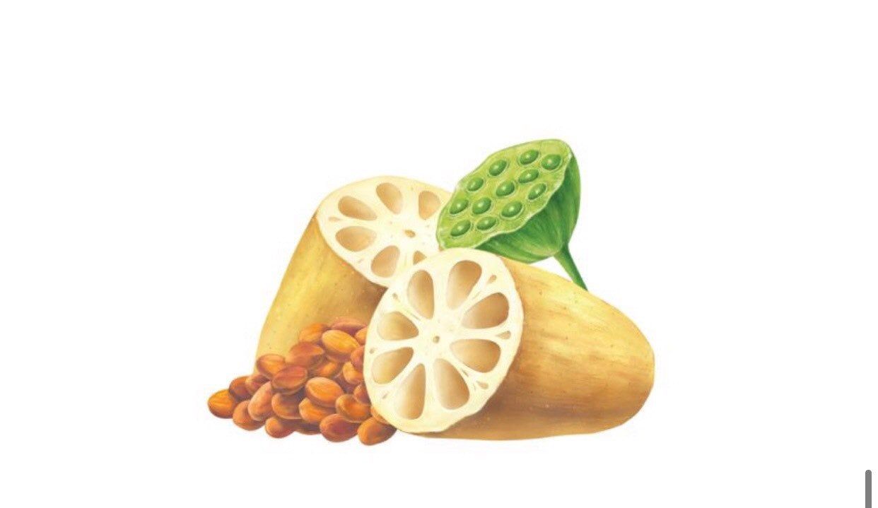 Củ Sen thượng hạng giúp an thần, ngủ ngon 