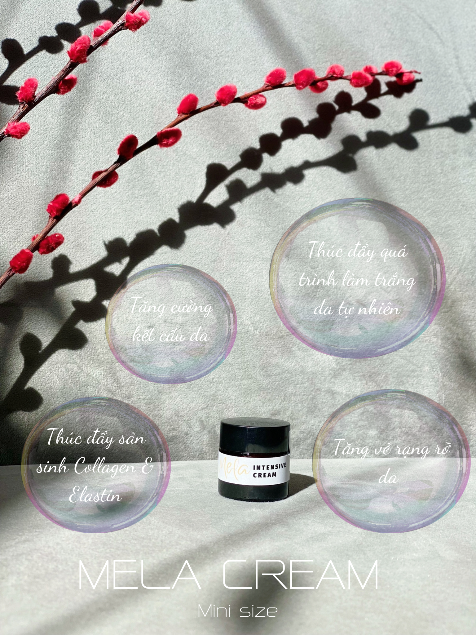  MELA INTENSIVE CREAM - Kem khóa ẩm & mờ thâm nám chuyên sâu Mela 