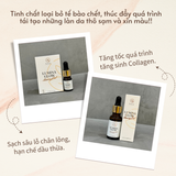  Tinh chất căng bóng sáng da-trẻ hoá LUMINA GLOW ACTIVATING PEEL hỗ trợ giảm thâm mụn, se lỗ chân lông 