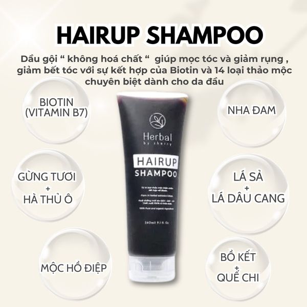  HAIRUP Shampoo - Dầu gội Biotin & Thảo mộc kích mọc tóc (260ml) 