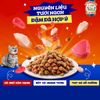 Thức ăn cho mèo Silver Spoon cá ngừ/ gà 1kg