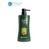 Dầu Gội Dược Liệu Nguyên Xuân Xanh Dưỡng Tóc 350ml
