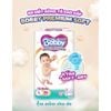 Tã quần Bobby premium soft M L XL XXL