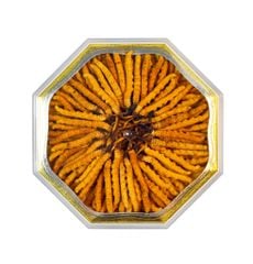 Đông Trùng Hạ Thảo Tây Tạng Vip - 22con/10g Hàng Tuyển Chọn