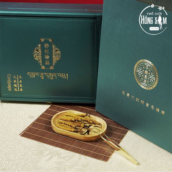  Đông Trùng Hạ Thảo Tây Tạng Vip - 14con/10g Hàng Tuyển Chọn 