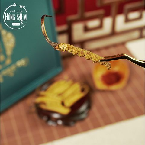 Đông Trùng Hạ Thảo Tây Tạng Vip - 14con/10g Hàng Tuyển Chọn