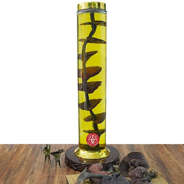 Bình Nấm Lim Xanh 11 Lít