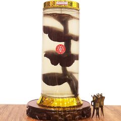 Bình Nấm Lim Xanh 7,8 Lít