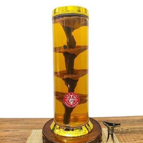 Bình Nấm Linh Chi Núi Hàn Quốc 9.8 Lít