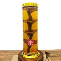 Bình Nấm Linh Chi Núi Hàn Quốc 9.8 Lít