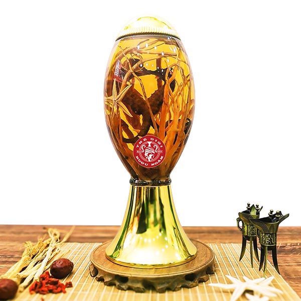 Bình Cá Ngựa Chúa 19cm (3 Lít) Hàn Số 41