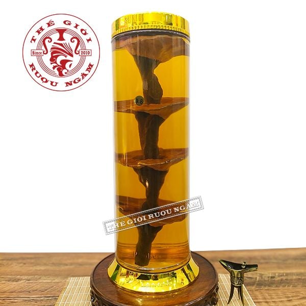 Bình Nấm Linh Chi Núi Hàn Quốc 9.8 Lít 