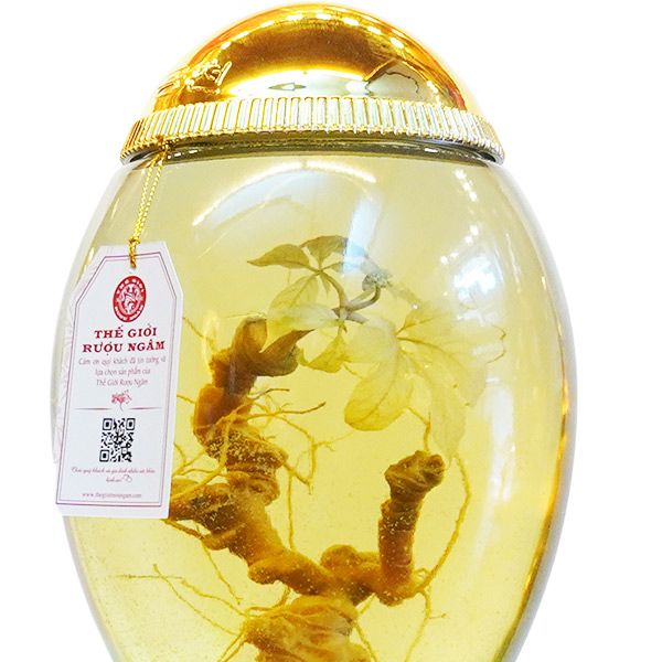  Bình Sâm Ngọc Linh Kontum 2,5 Lít 