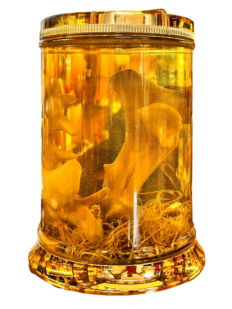 Bình Nhung Hươu VIP 43 Lít