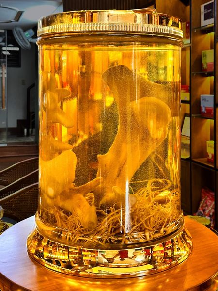  Bình Nhung Hươu VIP 43 Lít 