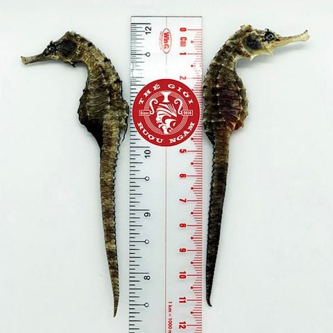 Cá Ngựa Khô Đại Dương 11cm (cặp)