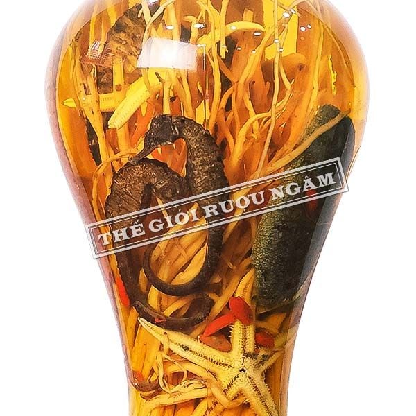  Bình Cá Ngựa 2 Lít 