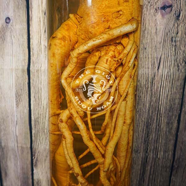  Bình Đinh Lăng Nguyên Gốc 20 Lít 