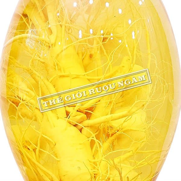  Bình Hoa Sâm Hàn Quốc 12,9 Lít Tỉa Hoa Hồng 