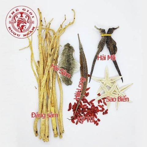 Combo Ngâm Cá Ngựa 1 Lít - Tiết Kiệm