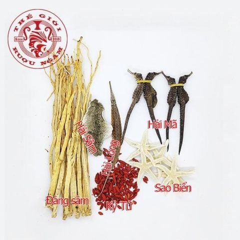 Combo Ngâm Cá Ngựa 2 Lít - Tiết Kiệm