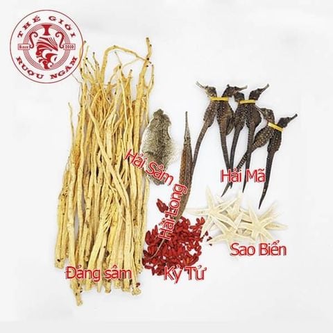 Combo Ngâm Cá Ngựa 3 Lít - Tiết Kiệm