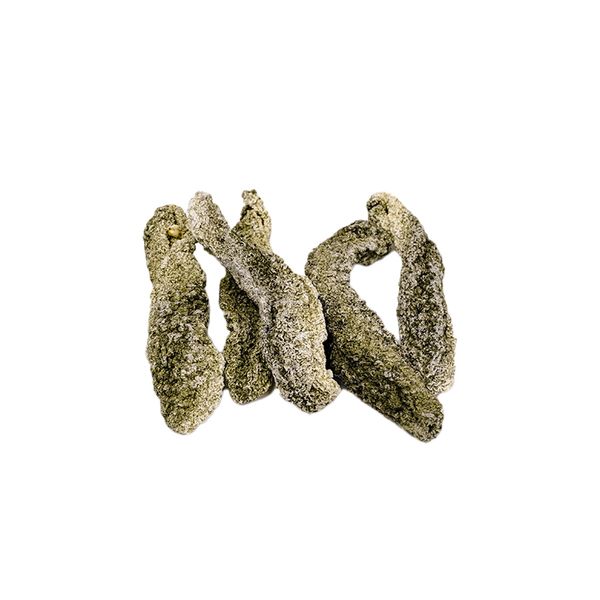  Hải Sâm Khô Ngâm Rượu 