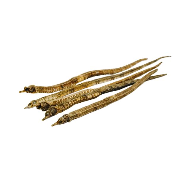  Hải Xà Ngâm Rượu 