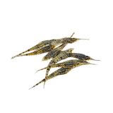 Hải Yến Ngâm Rượu