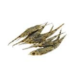 Hải Yến Ngâm Rượu