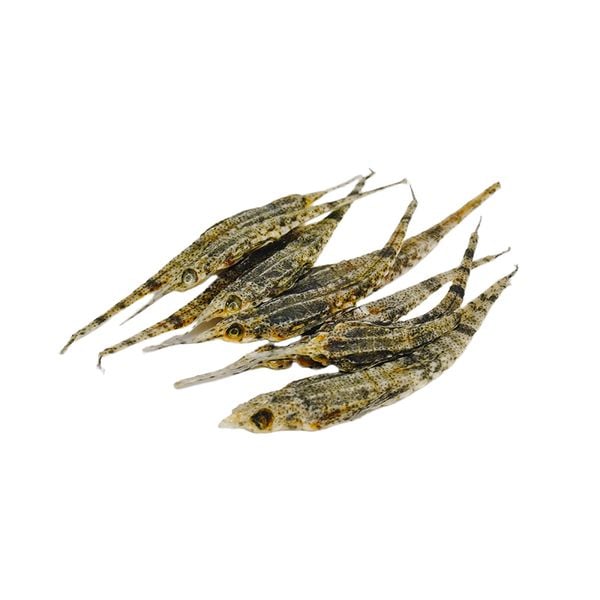  Hải Yến Ngâm Rượu 