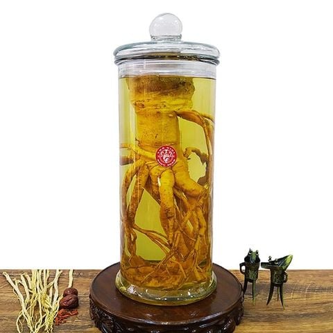 Bình Đinh Lăng Nguyên Gốc 12 Lít