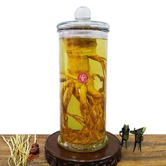 Bình Đinh Lăng Nguyên Gốc 12 Lít