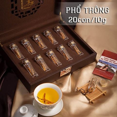 Đông Trùng Hạ Thảo Tây Tạng Thường - 22con/10g Hàng Phổ Thông
