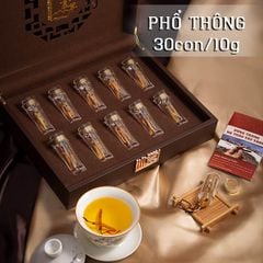 Đông Trùng Hạ Thảo Tây Tạng Thường - 30con/10g Hàng Phổ Thông